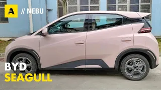 BYD Seagull | 8.200 Euro per l'elettrica da 31 kWh e 75 CV