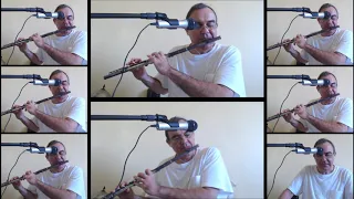 Ain't no Sunshine, by Bill Withers, flute cover