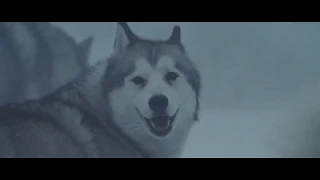 Eight Below Белый плен 2006   Прощание с Дьюи