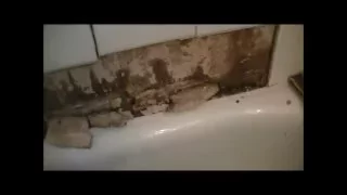 Bathtub Tile Falls Off Wall