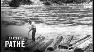 Logging In Idaho - U.S.A. (1926)