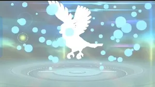 Pidgeotto is evolving || Pokemon Omega Ruby