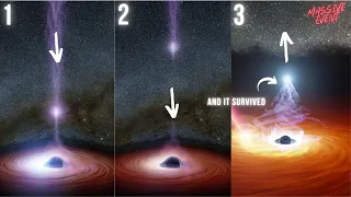 Surviving the Unsurvivable: The incredible Story of a star Cheating Death in a Black Hole TDE