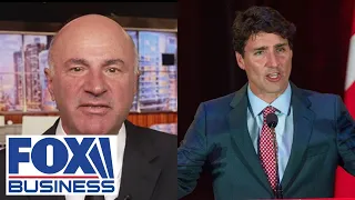 'COUNTRY RUN BY IDIOTS': Kevin O'Leary torches Trudeau, Canadian lawmakers