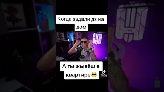 КОГДА ЗАДАЛИ ДЗ НА ДОМ, А ТЫ ЖИВЁШЬ В КВАРТИРЕ🥵 ХОЛДИК БРАВЛ СТАРС