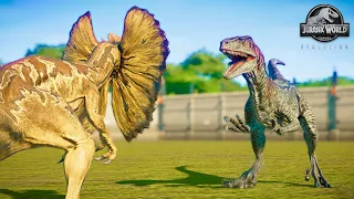 OVERPOWERED RAPTOR BLUE HUNTING ALL SMALL HERBIVORE AND CARNIVORE DINOSAURS IN JURASSIC PARK