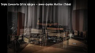 Triple Concerto OP 56 Allegro   Anne Sophie Mutter