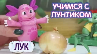 Учимся с Лунтиком - Лук. Новая серия.