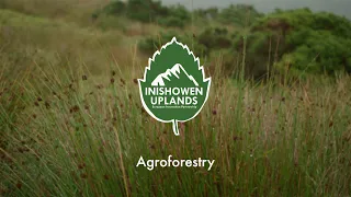 Inishowen Uplands introduction to Agroforestry