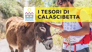 I Tesori di Calascibetta | Every Day Sicily Tour 2018