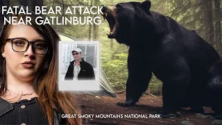 Large Bear Kills Man Near Gatlinburg, TN | Great Smoky Mountains National Park Bear Attack