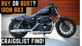 Buying Used Harley Iron 883 Sportster on Craigslist Test Ride Review Impressions 2013 xl883n