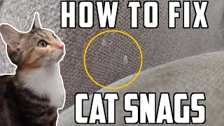 How To Fix Cat Snags