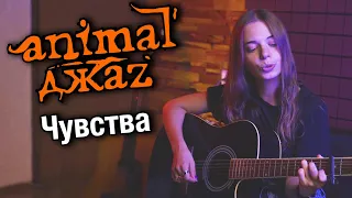 Animal ДжаZ - Чувства (акустический кавер на гитаре) / Девушка поет и играет