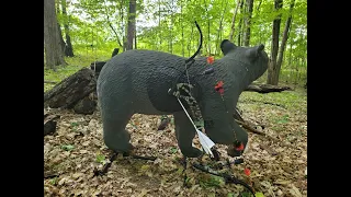 3D Archery with the Oneida Phoenix and 4mm FMJ arrows. First time through the course this year!