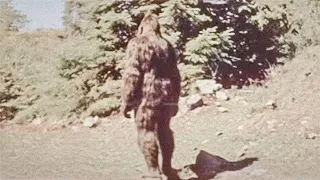 The Truth About Bigfoot: They're Not What You Think - Part 2