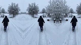 La Vie est un Art - Vivre le deuil au jour le jour 3/3 - La souffrance intense peut-elle cesser ?