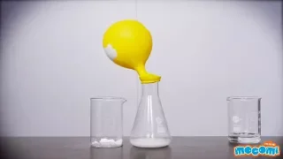 Baking Soda and Vinegar-Balloon Experiment-Science Projects for Kids | Educational Videos by Mocomi