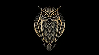 [FREE] 90s OldSchool Boom Bap Dark Hip Hop Instrumental Beat "Owl" | Rap Instrumental Beat