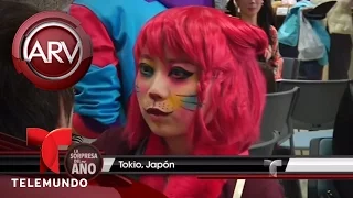 Japón celebra insólito festival de gatos | Al Rojo Vivo | Telemundo