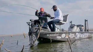 Jigging Timber for Crappie in Texas