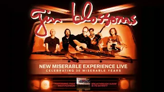 Gin Blossom Best Songs Playlist 2022- Very Best Of Gin Blossoms