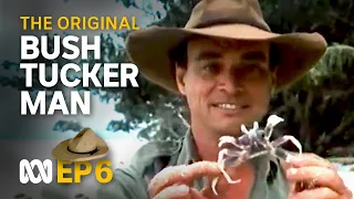 Les goes coastal 🤠🗺️ | Bush Tucker Man | S1 EP6 | ABC Australia