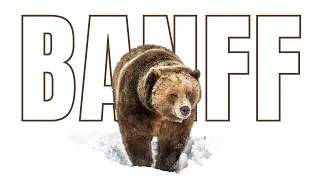 The ULTIMATE WINTER Banff Travel Guide