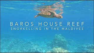 Snorkelling at Baros House Reef, Maldives