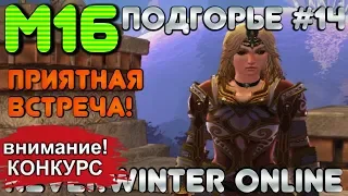 М16. ПОДГОРЬЕ #14 - ПРИЯТНАЯ ВСТРЕЧА! ОБЗОР КАМПАНИИ. Neverwinter Online