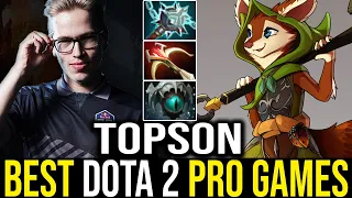 Topson - Hoodwink Mid | Dota 2 Pro Gameplay [Learn Top Dota]