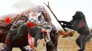 Brutal Moments When Komodo Dragons Hunt And Swallow Monkeys | Fierce Battles.