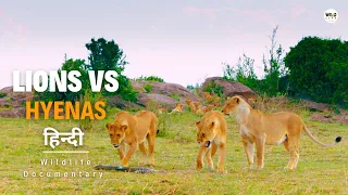 Lions vs Hyenas - हिन्दी डॉक्यूमेंट्री | Wildlife documentary in Hindi