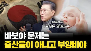 선진국 저출산 처방을 한국에 적용할수 없는 이유 f.김태유 서울대학교 명예교수