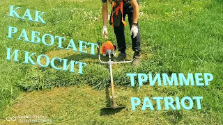 КАК РАБОТАЕТ И КОСИТ ТРИММЕР Patriot PT 5555 ES