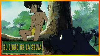 El Libro de la Selva | Episodio 3 | Dibujos Animados Para Niños | Serie Animada | Cuento de Hadas