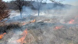 Prescribed Burn Part 2 Hog Hollow Road