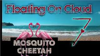 Mosquito Cheetah - Floating On Cloud Seven (Official Video)