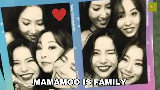 Mamamoo's Bond That Every moomoos love