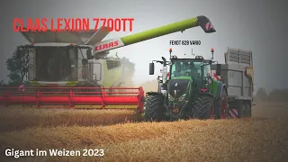 Claas Lexion 7700TT/ Gigant im Weizen2023/ 4K #agriculture #claas  @FendtTV @claas_deutschland