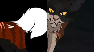 Warrior cats ~ Mapleshade tribute ~ Everybody wants to rule the world