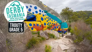 Welcome to Derby! Trouty Trail | Blue Derby MTB, Tasmania