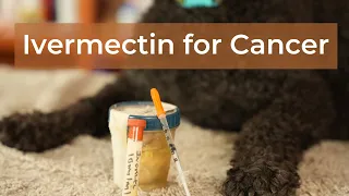 Ivermectin for Cancer in Dogs: Doses and Regimens