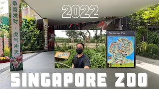 Singapore Zoo 2022 Tour | World Famous “Open Concept” Zoo | One of the Best Zoos in the World