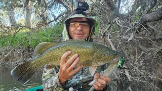 Lure Casting For Murray Cod From Kayaks In The Ovens River With Adam And Willis