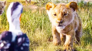 I Just Can't Wait to be King Song Scene - THE LION KING (2019) Movie Clip
