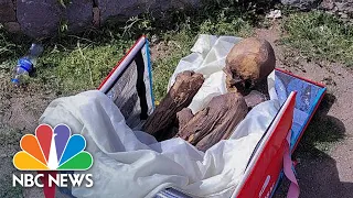 Police find ancient mummy in delivery man’s cooler bag in Peru