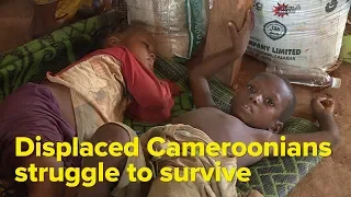 Displaced Cameroonians struggle to survive