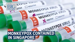 Monkeypox contained in Singapore and unlikely to be in community, says expert | THE BIG STORY