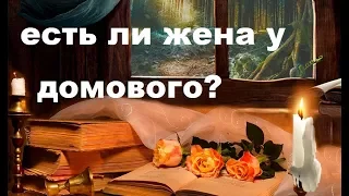 ЕСТЬ ЛИ  У ХОЗЯЙКИ ДОМА СВОЙ ДОМОВОЙ?